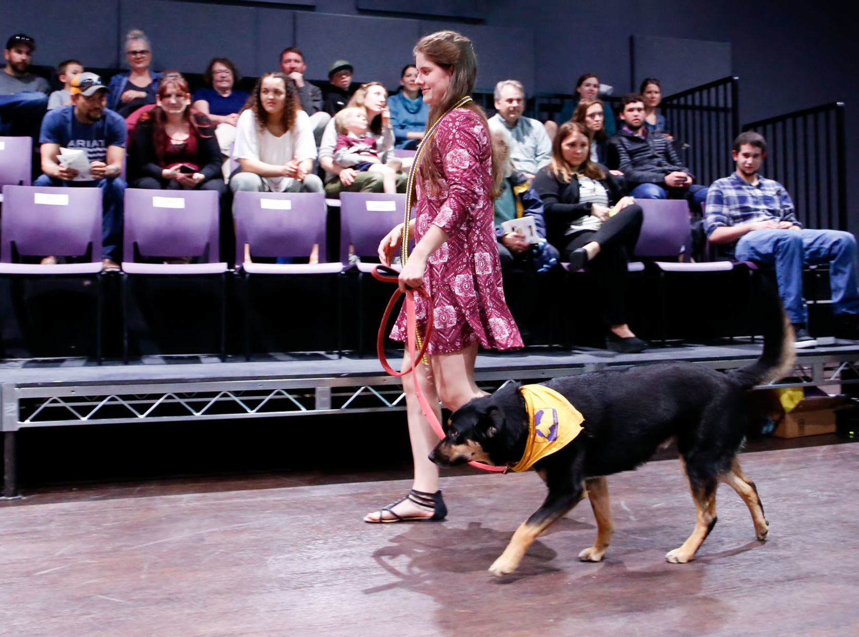 21 dogs graduate from Carroll's anthrozoology program